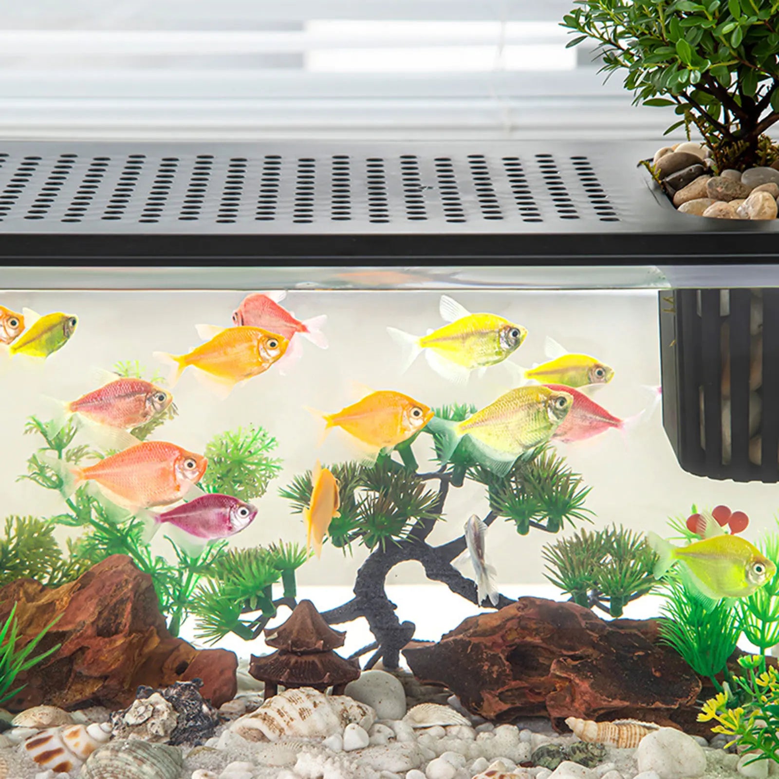 Reptile Terrarium Clear View Breeding Tank Habitat Cage Small Fish Tank Feeding Box for Betta Fish Fish Crayfish Snake Chameleon