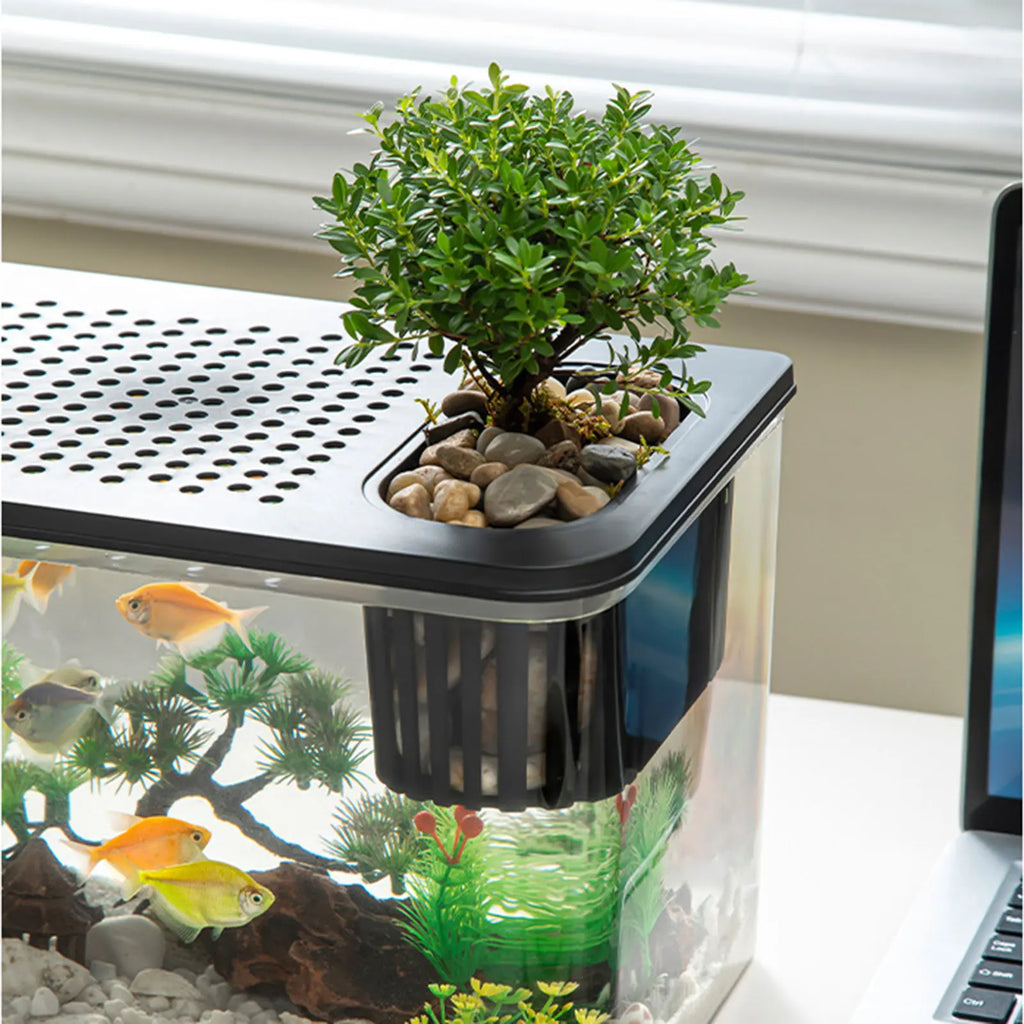 Reptile Terrarium Clear View Breeding Tank Habitat Cage Small Fish Tank Feeding Box for Betta Fish Fish Crayfish Snake Chameleon