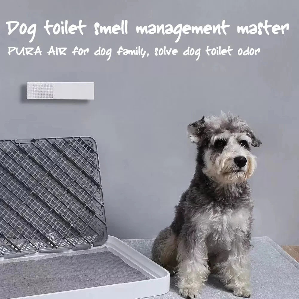Original PETKIT Pura air Smart Pet Deodorizer Indoor Odor Removal Dog Urine Smell Cat Litter with smart sensor