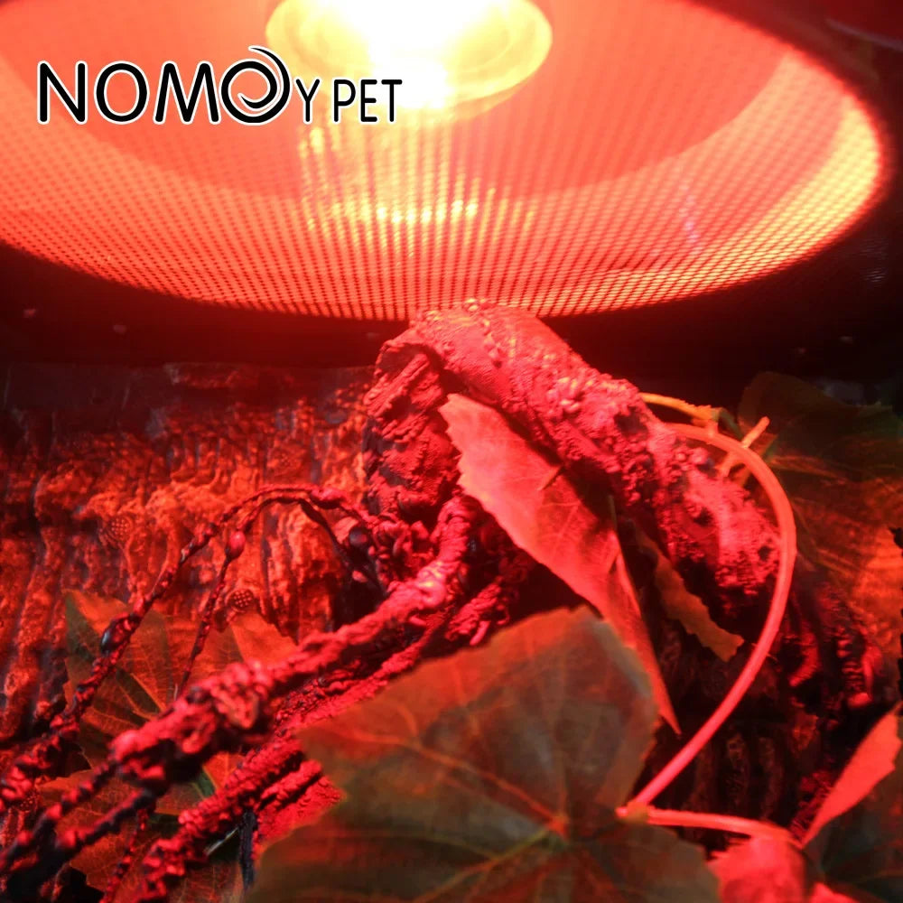 Reptile Heat Lamp Bulb Infrared Basking Spot Lamp 110V/220V Amphibian Snake Lamp Heat Reptile Bulbs 25W 50W 100W  luz terrario
