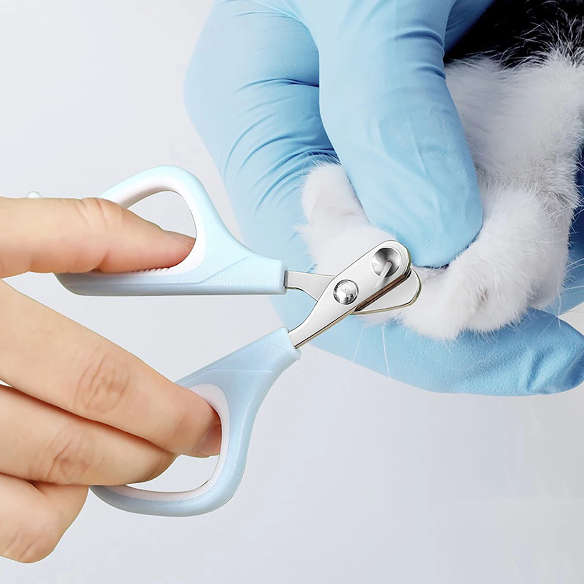 3-in-1 Pet Grooming Kit: Comb, Nail Clippers & Nail Grinder, Safe & Easy-to-Use for Cats & Dogs