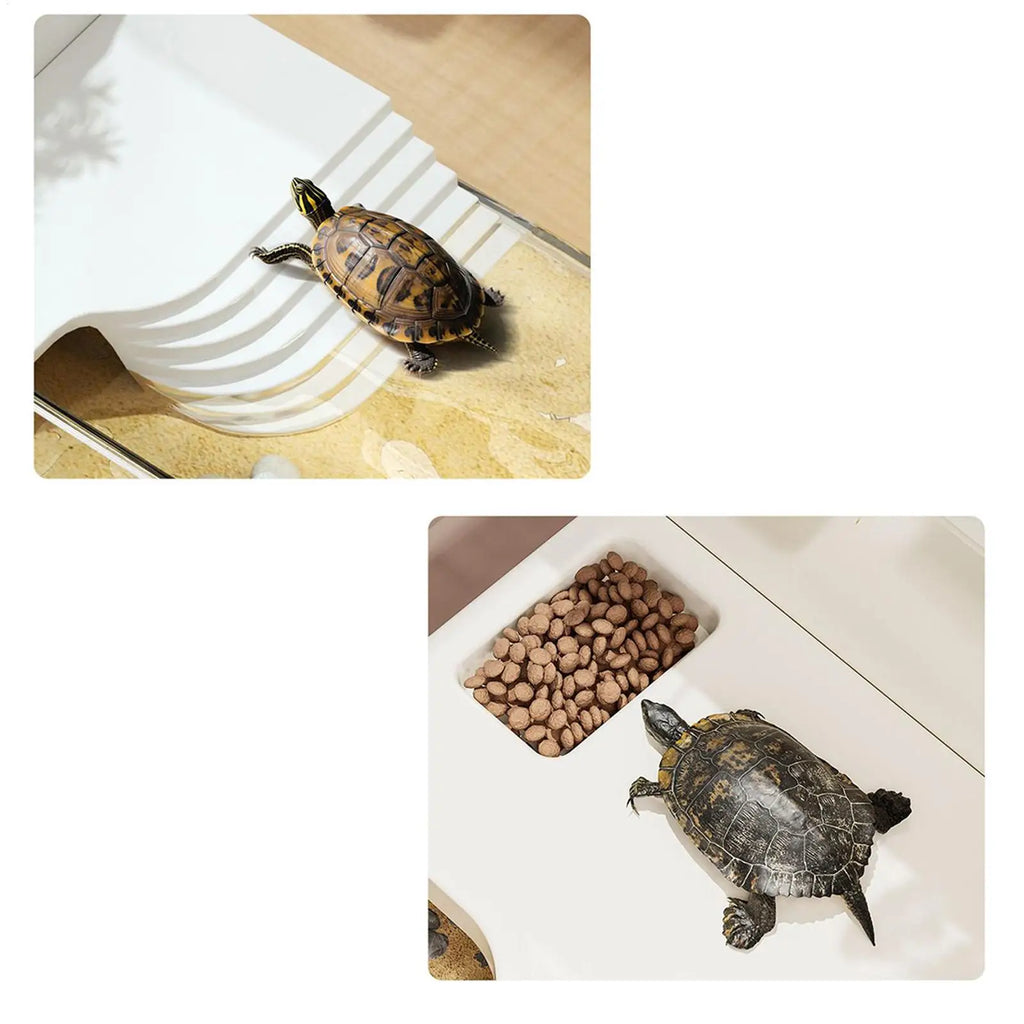 Turtle Tank Large Terrarium with Basking Plat Clear Tortoise Tank Reptile Enclosure for Tree Frog Salamanders Crayfish Small