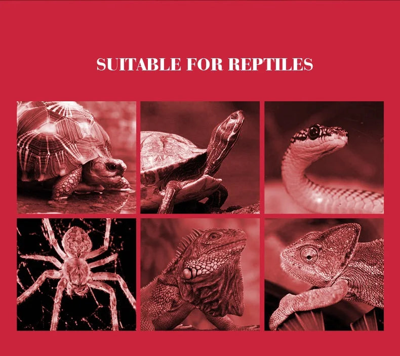 Reptile Heat Lamp Bulb Infrared Basking Spot Lamp 110V/220V Amphibian Snake Lamp Heat Reptile Bulbs 25W 50W 100W  luz terrario