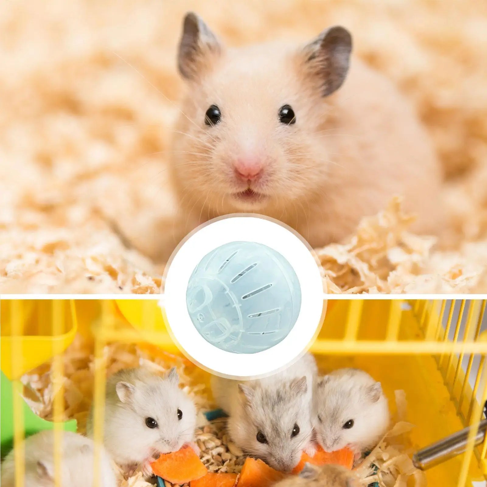 Hamster Running Wheel Jogging Exercise Wheel for Small Animals Hamster Exercise Balls Running Wheel for Hamsters Golden Bear
