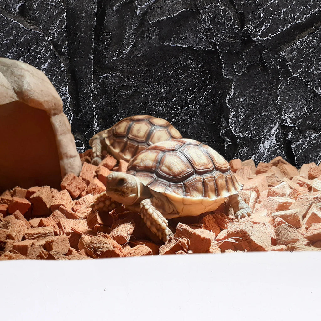 Rock Decorative Panel For Reptile Tank 3D Aquarium Background Board Terrarium Landscape Decoration Habitat Accessories