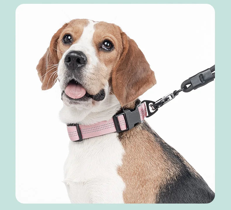 Dog Collar for Medium Dogs,Adjustable Pet Neck Band with Comfortable Soft Padding, Lifetime Durability, Heavy-Duty D-Ring