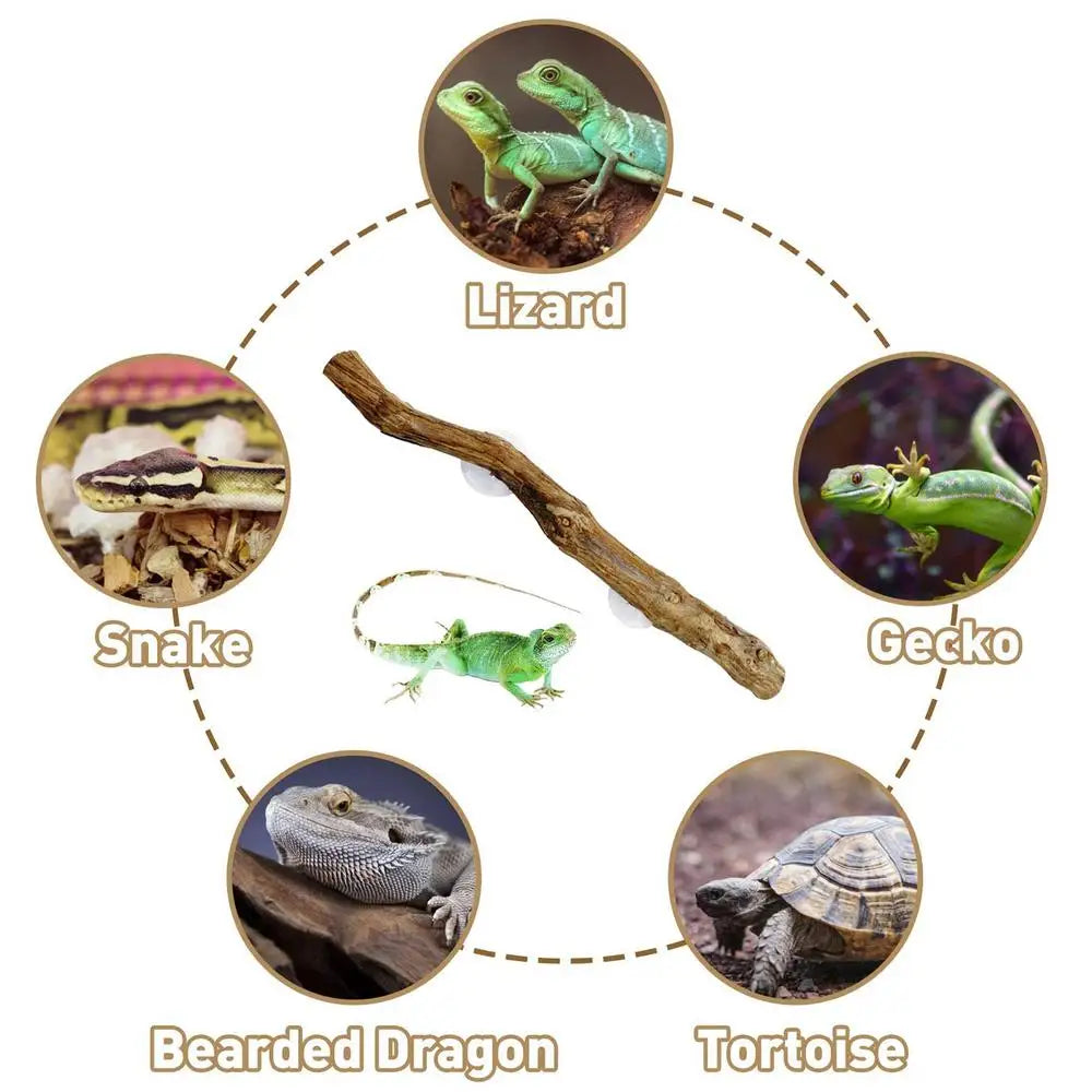 Reptile Climbing Corner Stick Non-slip Reptile Branches Terrarium Branches Reptile Decor Wooden Tree Trunk Ornament Habitat Deco