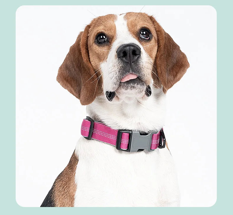 Dog Collar for Medium Dogs,Adjustable Pet Neck Band with Comfortable Soft Padding, Lifetime Durability, Heavy-Duty D-Ring