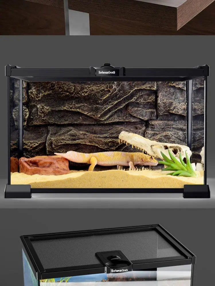 Reptile Glass Tank Spider Turtle Fish Rainforest Tank Reptile Tank Tree Lizard Horned Frog Brontosaurus Breeding Box