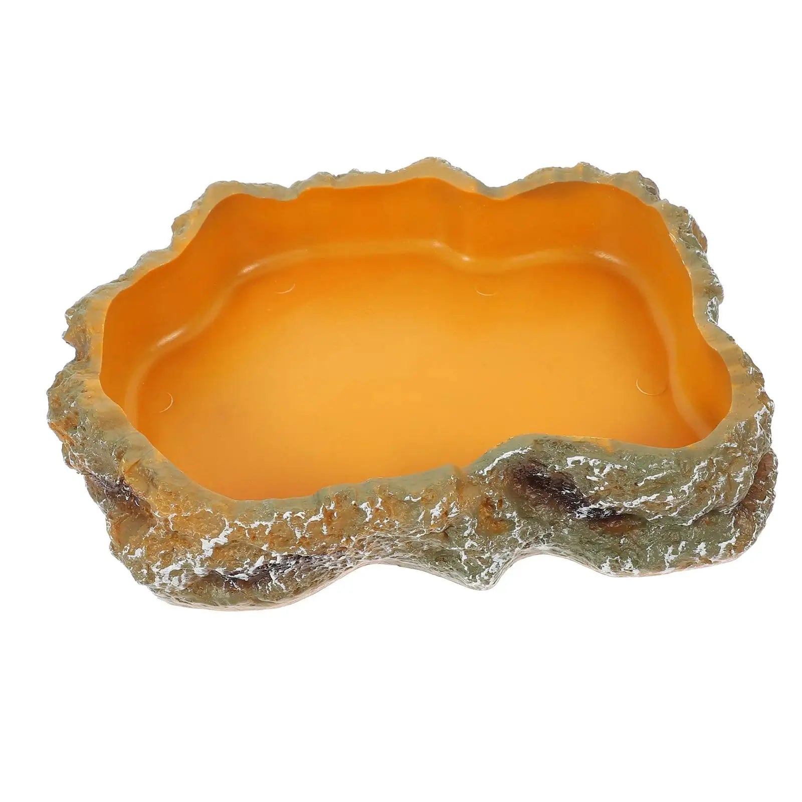Reptile Water Bowls Terrarium Plate Reptile Feeder Amphibian Feeding Bowl for Frog Chameleon Tortoise Bearded Dragon Turtle