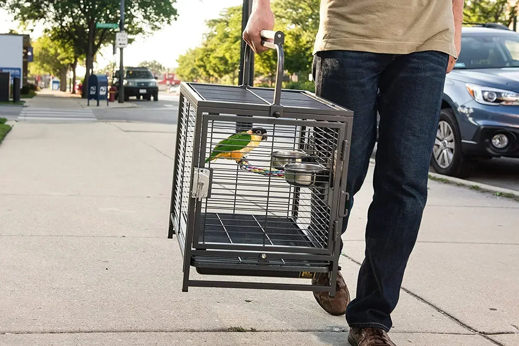 Travel Carrier Bird Cage Aviary For Bird Outside Iron Bird Cage Peony Tiger Pearl Parrot Carrying Cage 47.6 X 37.5 X 45.7 Cm