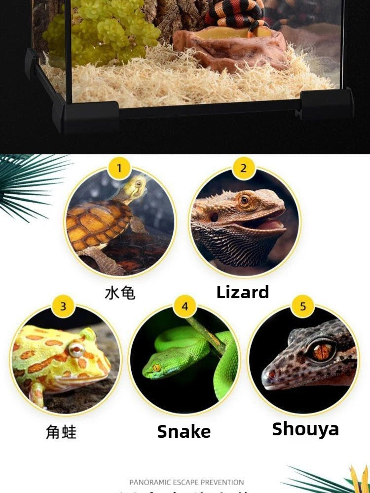 Reptile Glass Tank Spider Turtle Fish Rainforest Tank Reptile Tank Tree Lizard Horned Frog Brontosaurus Breeding Box