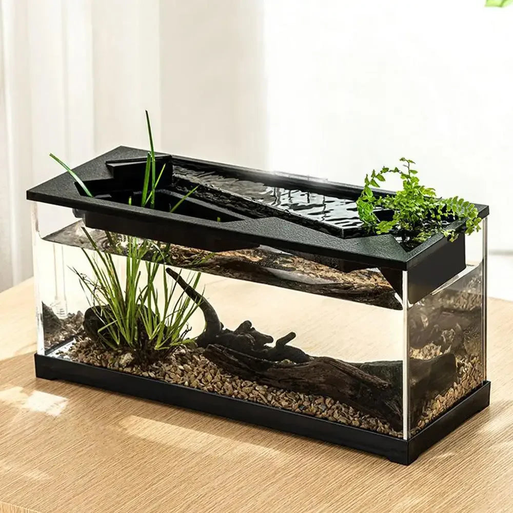 Small Fish Tank Acrylic Clear Desk Aquarium with Filter Fish Tank Starter Kits with Air Pump for Tabletop Living Room Studio Dec