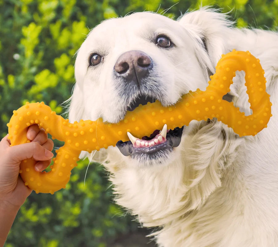 Pet Toys, Dog Toys, Durable Chew Sticks, Chew Bones, Golden Retriever, Border Collie, Labrador, Pet Large Dog Boredom Relief Toys
