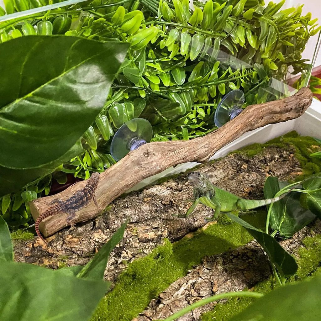 Reptile Climbing Corner Stick Non-slip Reptile Branches Terrarium Branches Reptile Decor Wooden Tree Trunk Ornament Habitat Deco