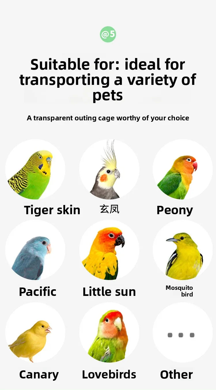 Portable Parrot Travel Cage Small Bird Cage for Budgies Lovebirds Foldable Carrier Outdoor