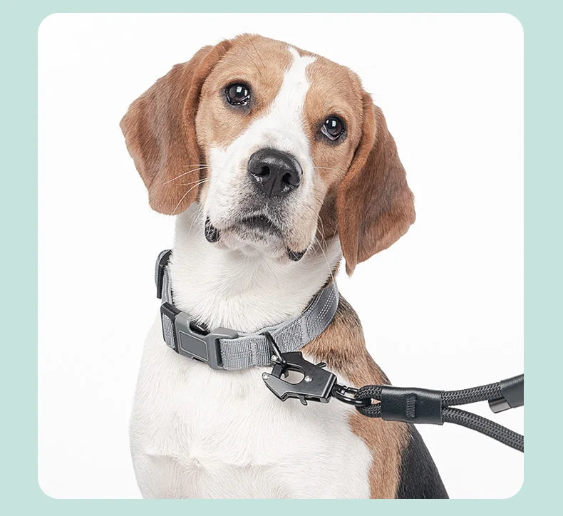 Dog Collar for Medium Dogs,Adjustable Pet Neck Band with Comfortable Soft Padding, Lifetime Durability, Heavy-Duty D-Ring
