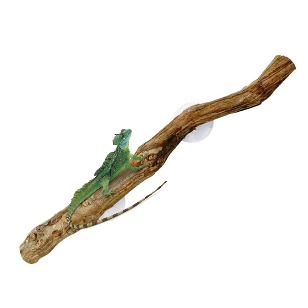 Reptile Climbing Corner Stick Non-slip Reptile Branches Terrarium Branches Reptile Decor Wooden Tree Trunk Ornament Habitat Deco