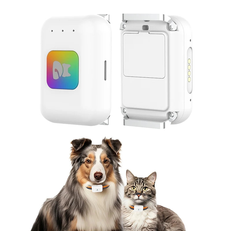GPS Pet Tracker with Colorful LED Flash 4G Smart Pet Collar IP67 Waterproof Pet Pedometer Calorie Health Data Tracker