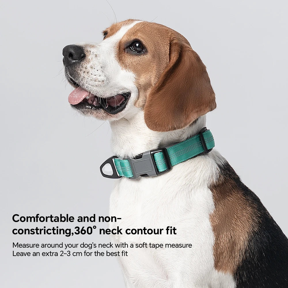 Dog Collar for Medium Dogs,Adjustable Pet Neck Band with Comfortable Soft Padding, Lifetime Durability, Heavy-Duty D-Ring