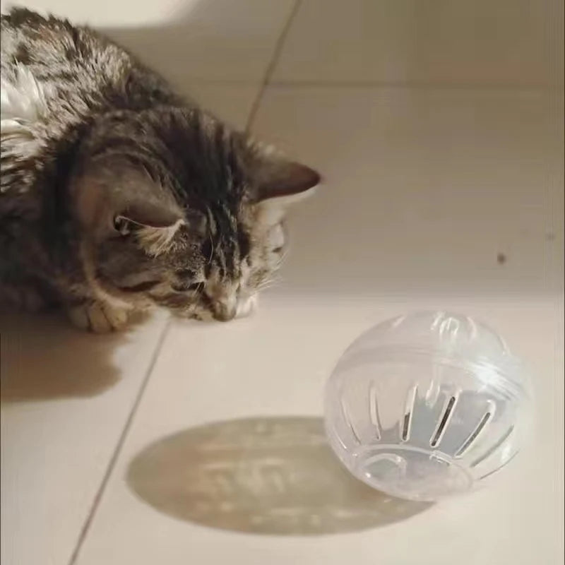 Funny Hamster Toys Spherical Translucent Treadmill for Rats Hamsters Pet Running Toy Durable Plastic Ball Diameter 10-14.5 CM