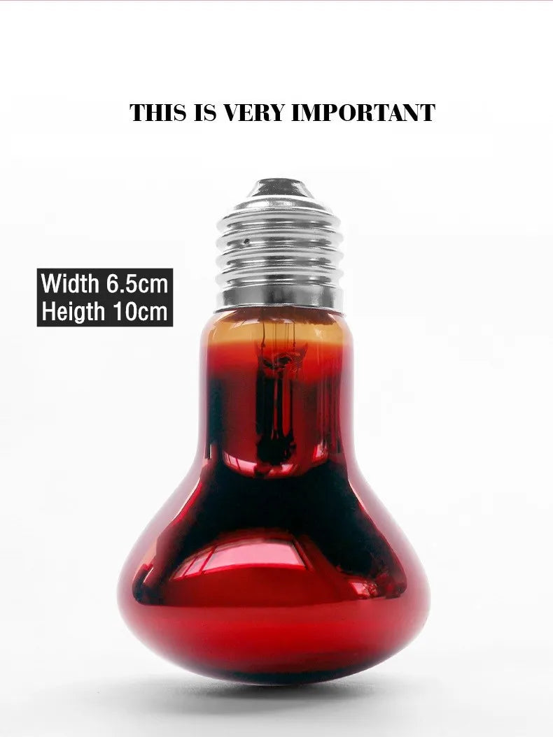 Reptile Heat Lamp Bulb Infrared Basking Spot Lamp 110V/220V Amphibian Snake Lamp Heat Reptile Bulbs 25W 50W 100W  luz terrario