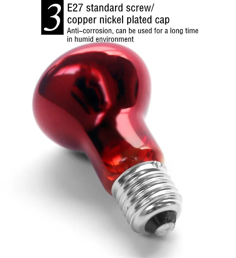 Reptile Heat Lamp Bulb Infrared Basking Spot Lamp 110V/220V Amphibian Snake Lamp Heat Reptile Bulbs 25W 50W 100W  luz terrario