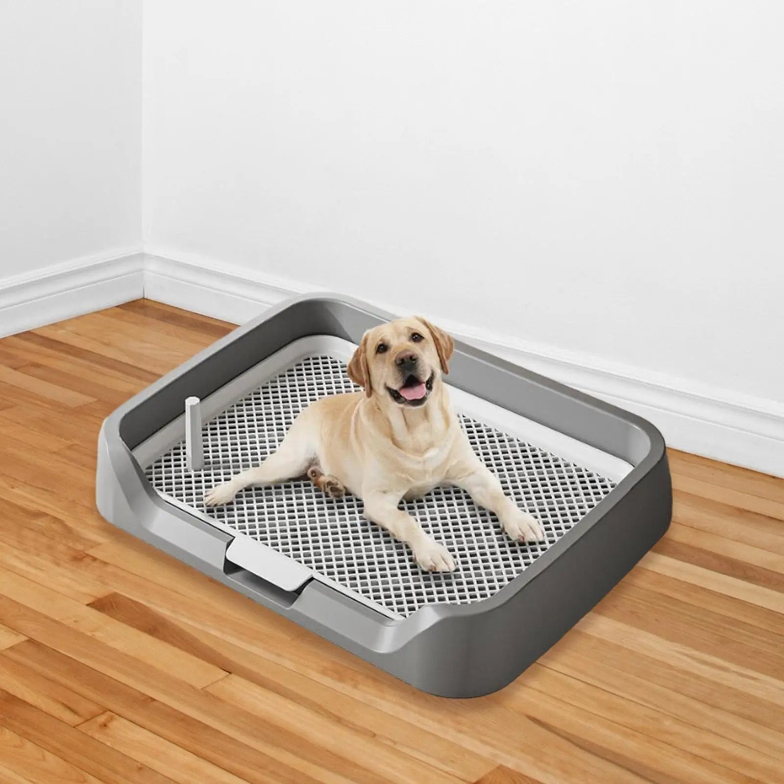 Pet Training Pads Holder Training Tray Reusable with Protection Wall Dogs Potty Pad Pee Pad Holder for Dogs and Cats