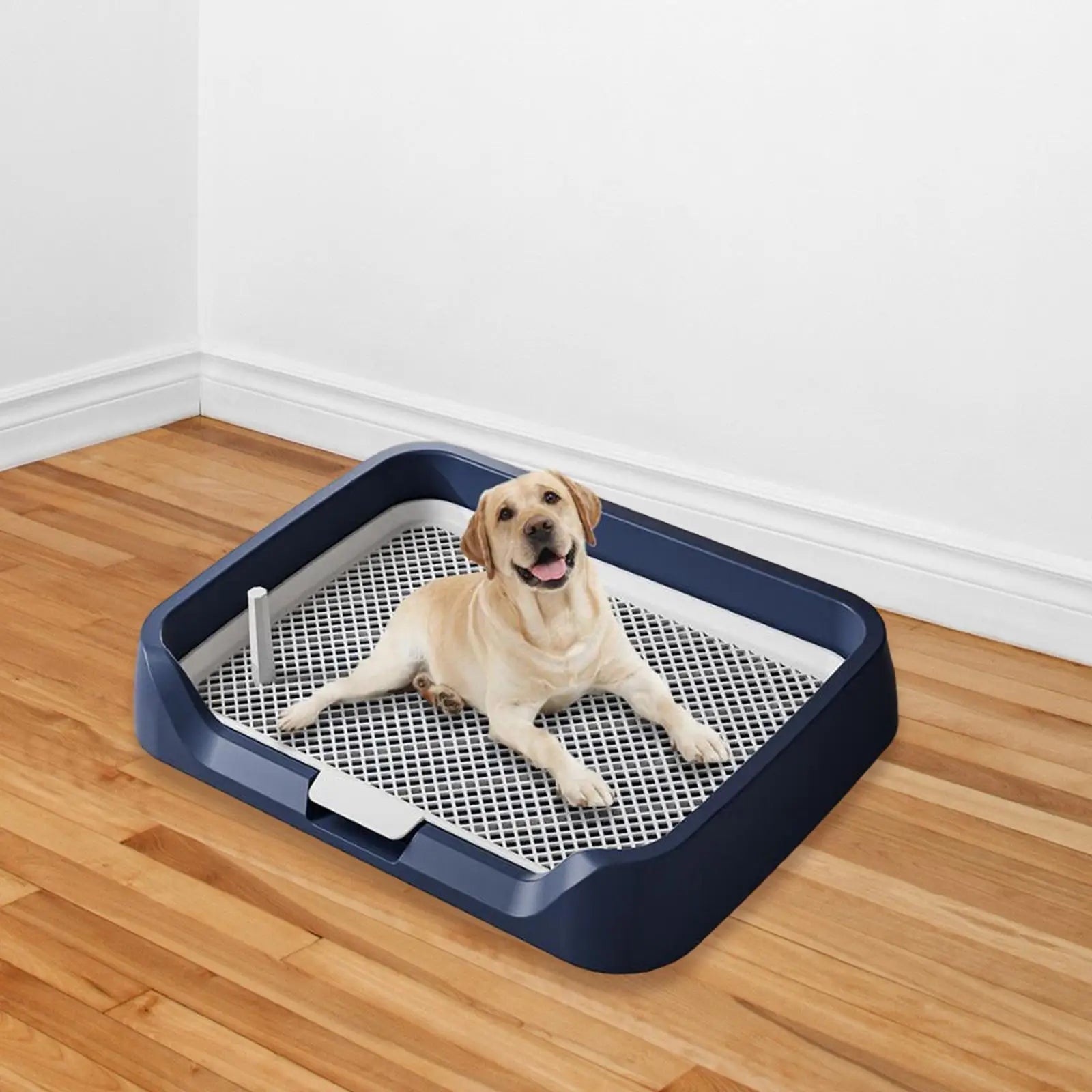 Pet Training Pads Holder Training Tray Reusable with Protection Wall Dogs Potty Pad Pee Pad Holder for Dogs and Cats