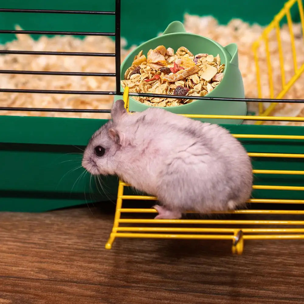 Hamster Food Water Bowl For Rabbit Guinea Pig Small Pets Feeder Dish Wear-resistant Pet Feeding Supplies accessory