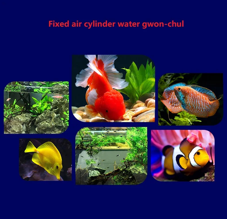 Fish Tank Water Purifier, Tropical Ornamental Fish, Chlorine Removal, Fishbowl, Change Water Stabilizer, 260ml