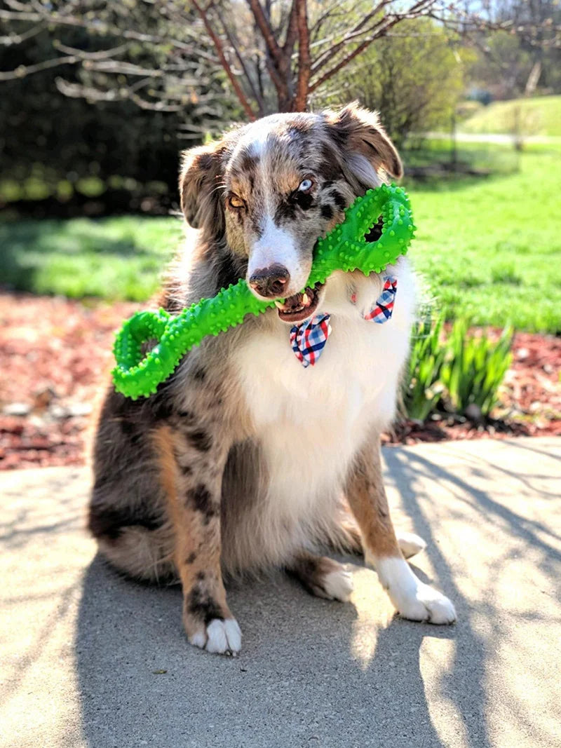 Pet Toys, Dog Toys, Durable Chew Sticks, Chew Bones, Golden Retriever, Border Collie, Labrador, Pet Large Dog Boredom Relief Toys