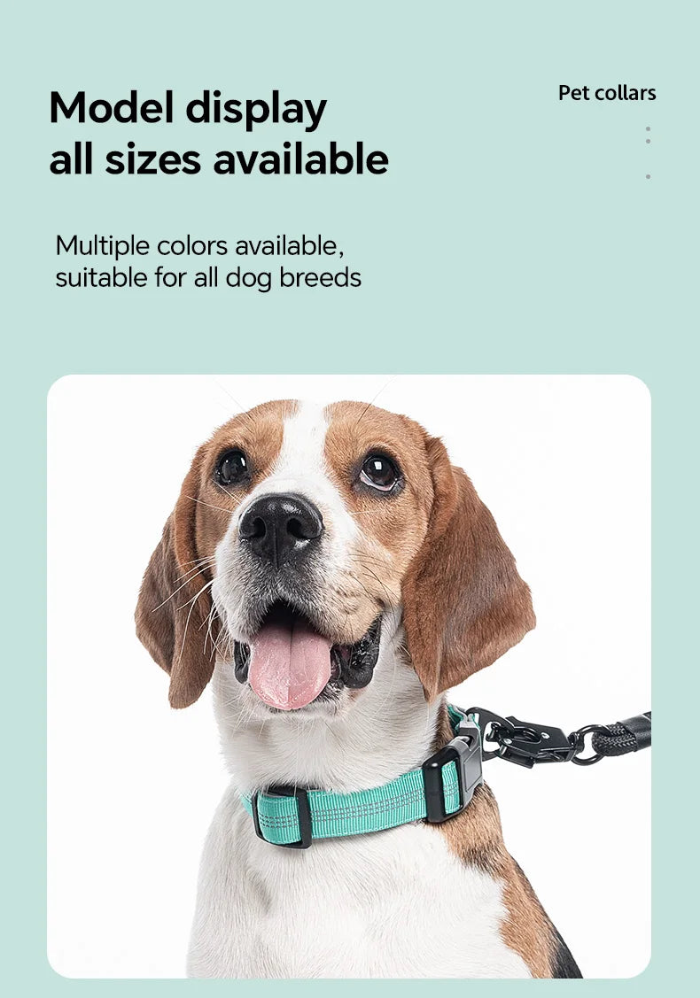 Dog Collar for Medium Dogs,Adjustable Pet Neck Band with Comfortable Soft Padding, Lifetime Durability, Heavy-Duty D-Ring