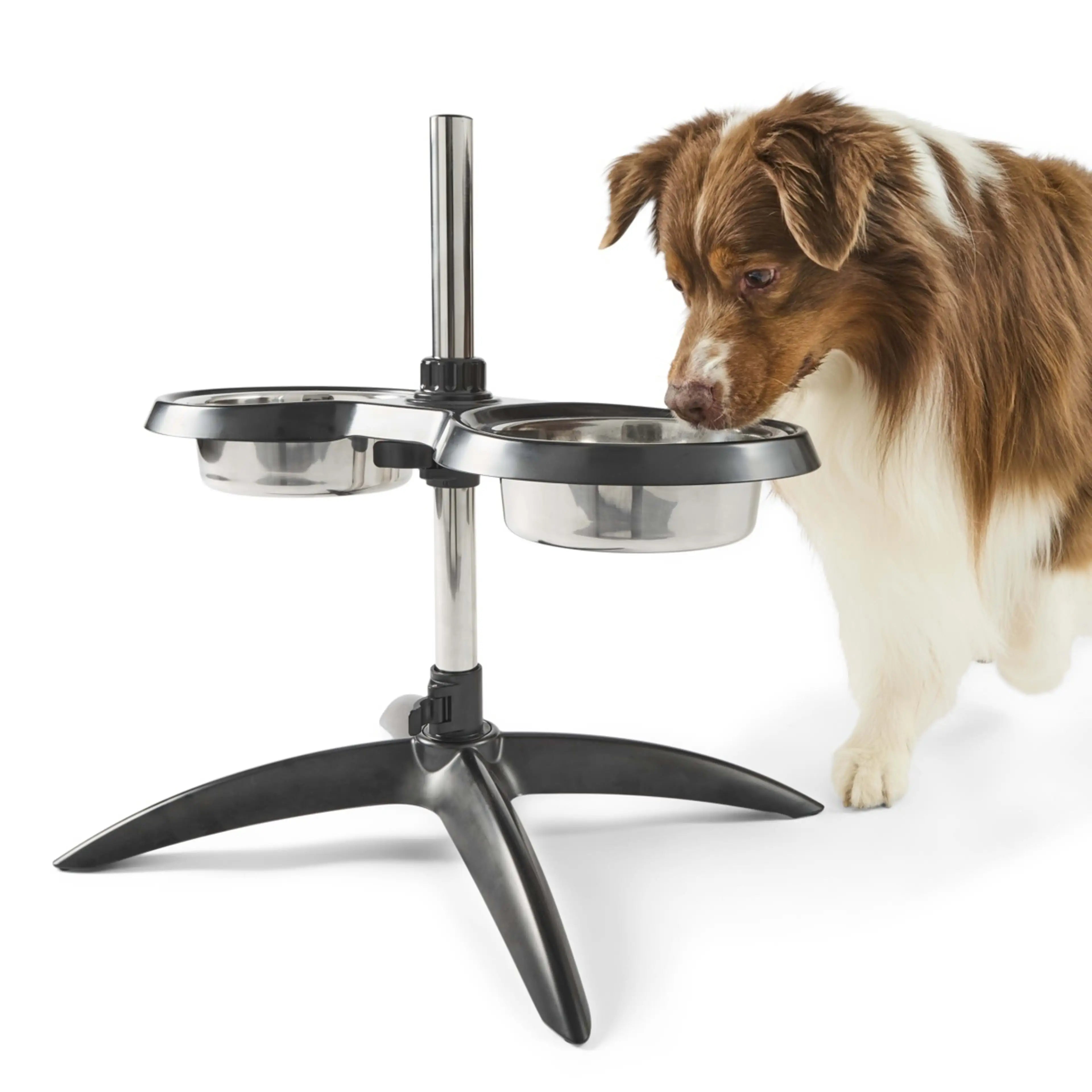 Elevated Raised Dog Bowl Stand with 2 Stainless Steel Bowls Adjustable Height for Medium Large Dogs