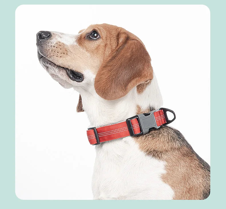Dog Collar for Medium Dogs,Adjustable Pet Neck Band with Comfortable Soft Padding, Lifetime Durability, Heavy-Duty D-Ring