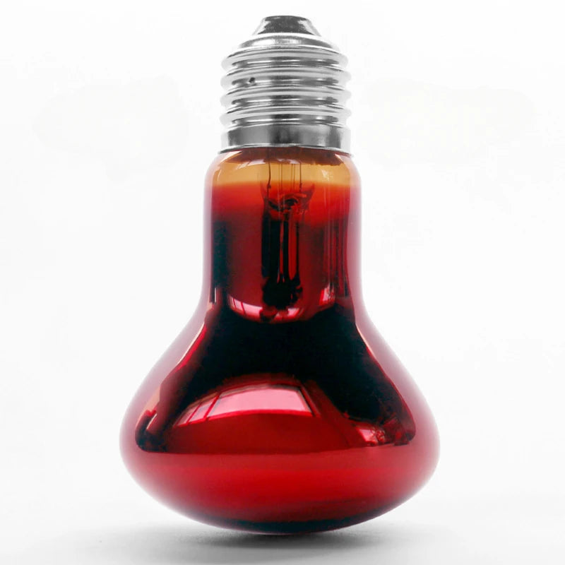 Reptile Heat Lamp Bulb Infrared Basking Spot Lamp 110V/220V Amphibian Snake Lamp Heat Reptile Bulbs 25W 50W 100W  luz terrario