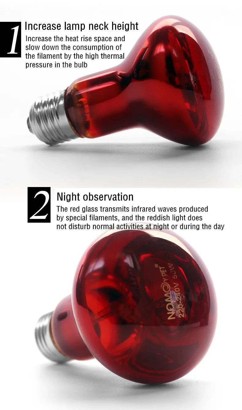 Reptile Heat Lamp Bulb Infrared Basking Spot Lamp 110V/220V Amphibian Snake Lamp Heat Reptile Bulbs 25W 50W 100W  luz terrario