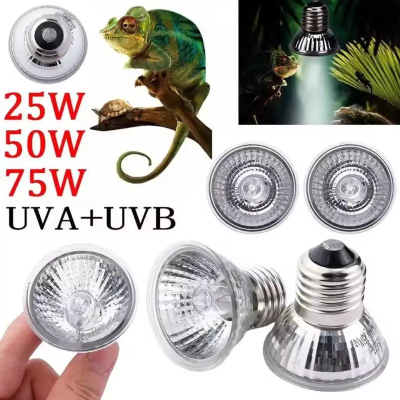 Reptile Heating Lamp 25/50/75W Basking Bulb for Turtle Lizard Snake Bird Pet Emitter Heater Feeding Lighting