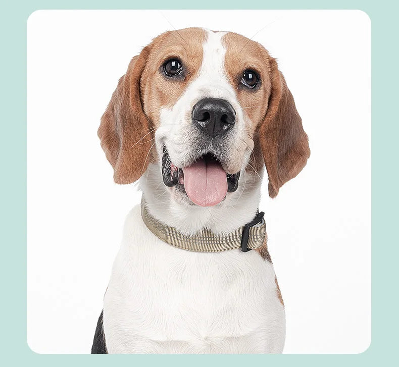 Dog Collar for Medium Dogs,Adjustable Pet Neck Band with Comfortable Soft Padding, Lifetime Durability, Heavy-Duty D-Ring