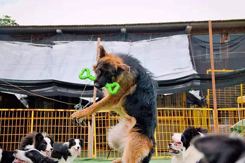 Pet Toys, Dog Toys, Durable Chew Sticks, Chew Bones, Golden Retriever, Border Collie, Labrador, Pet Large Dog Boredom Relief Toys