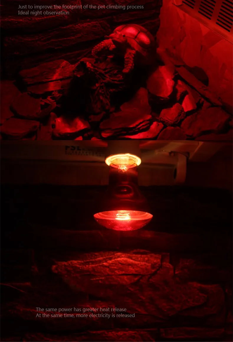 Reptile Heat Lamp Bulb Infrared Basking Spot Lamp 110V/220V Amphibian Snake Lamp Heat Reptile Bulbs 25W 50W 100W  luz terrario