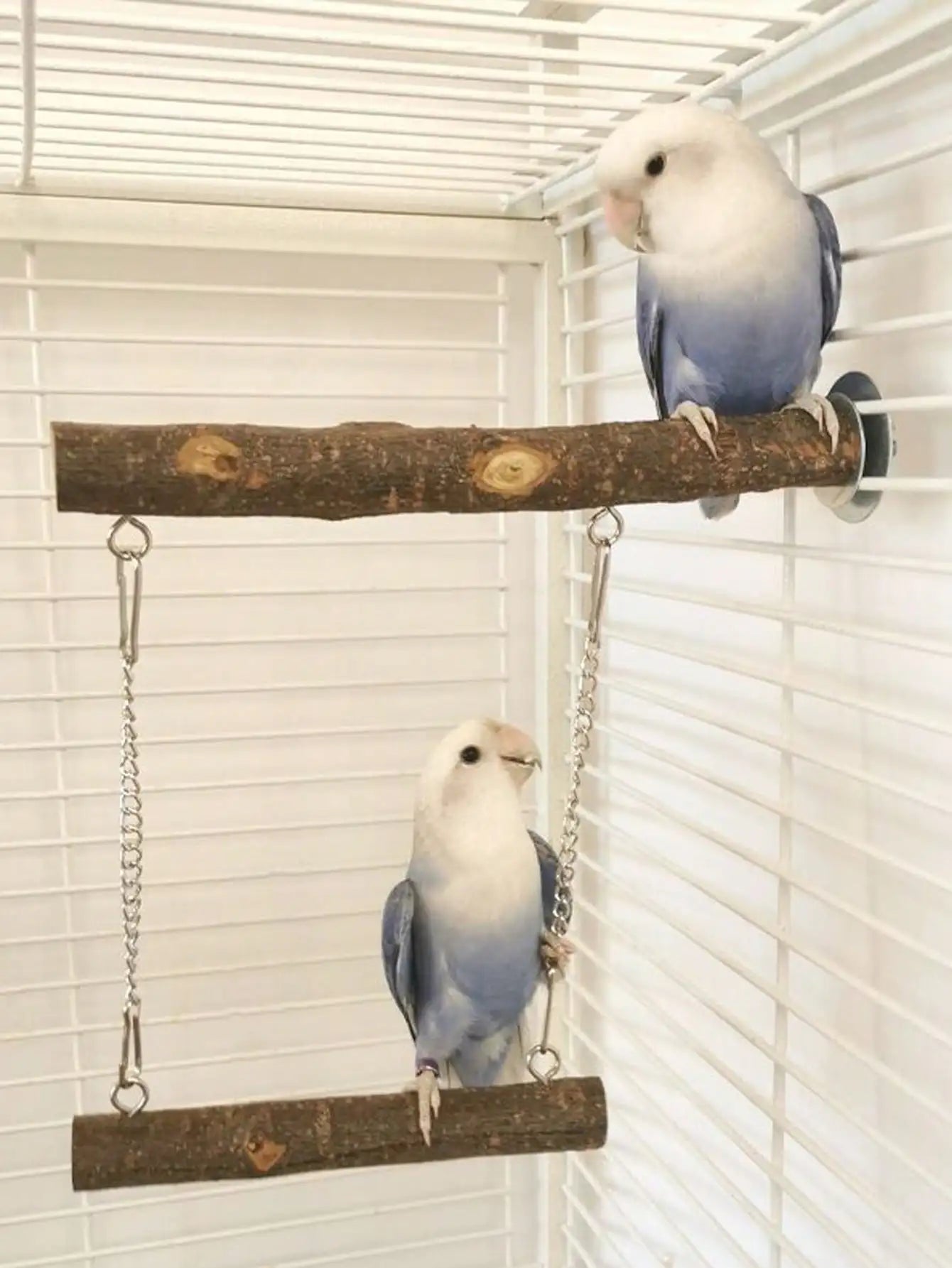 Bird Swing, Parrot Perch Stand Natural Wood Stand Parrot Cage Toys for Parakeet Cockatoo Budgie Lovebirds Cockatiel Small Animal