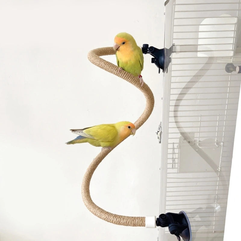 Parakeets Perch Bird Perches Standing Perch Suction Cup Folding Perch for Pecking Grinding Bird Enrichment Accessories D2RD