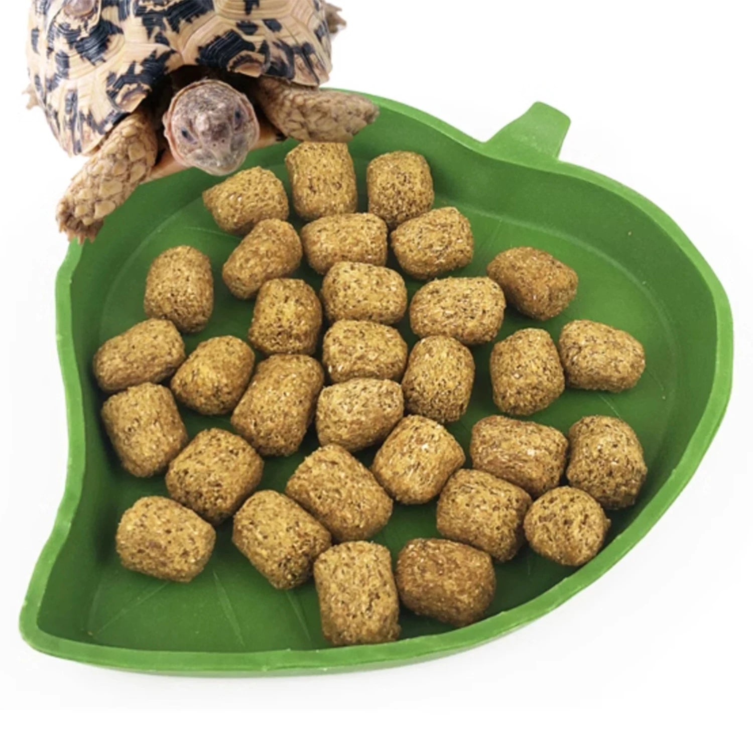 Turtle Water Bowl Leaf Shaped Reptile Food Water Bowl Flat Drinking Bowl Water Plate Reptile Pets Drinking and Eating,
