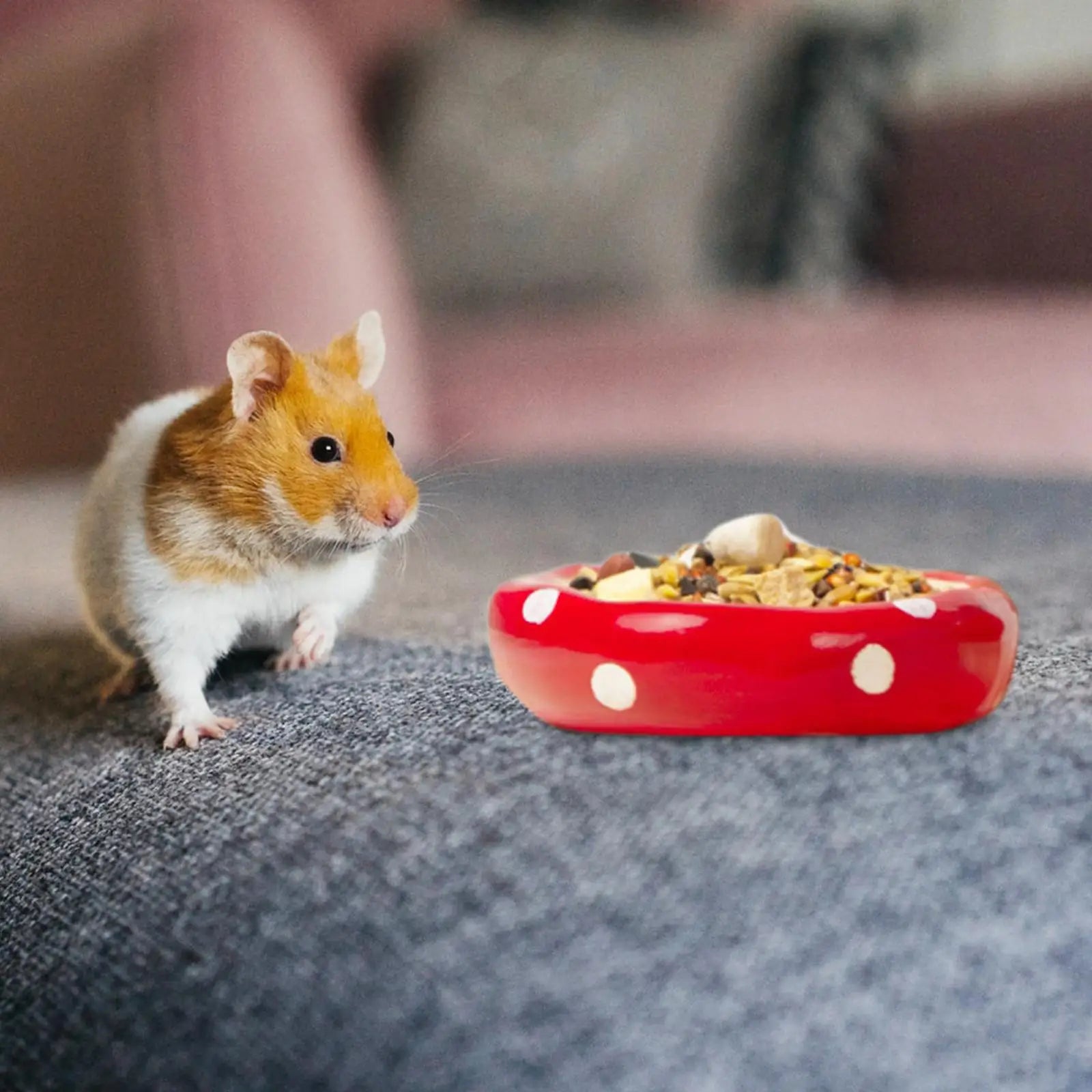 Ceramic Hamster House Multipurpose Durable Creative Furniture Food Bowl for Dwarf Hamster Ferret Hedgehog Gerbils Small Animals