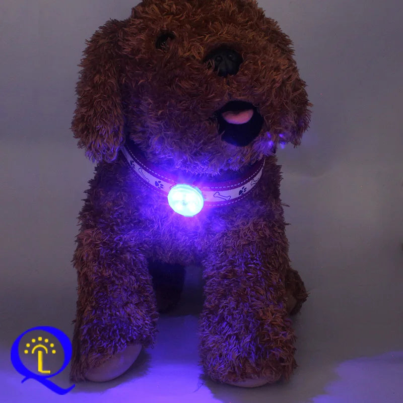Dog Collar, Loss Collar, Weatherproof LED Safety Light, USB Rechargeable LED Light Collar, Dog, Cat, Pet