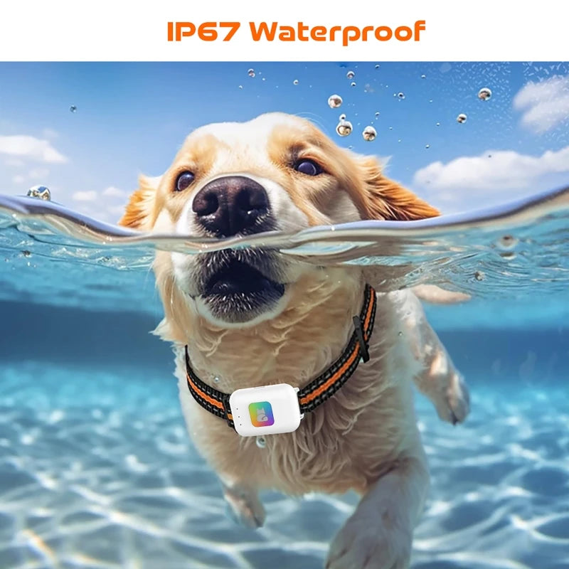GPS Pet Tracker with Colorful LED Flash 4G Smart Pet Collar IP67 Waterproof Pet Pedometer Calorie Health Data Tracker