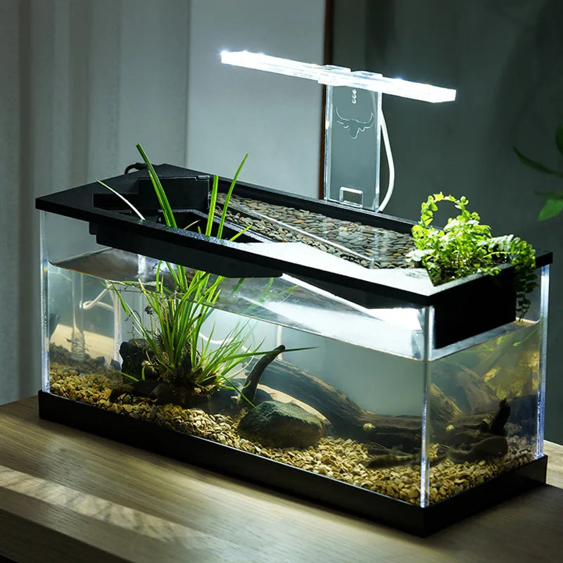 Small Fish Tank Acrylic Clear Desk Aquarium with Filter Fish Tank Starter Kits with Air Pump for Tabletop Living Room Studio Dec