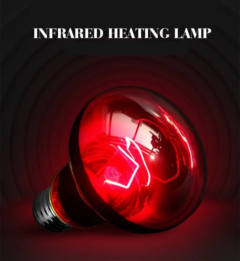 Reptile Heat Lamp Bulb Infrared Basking Spot Lamp 110V/220V Amphibian Snake Lamp Heat Reptile Bulbs 25W 50W 100W  luz terrario