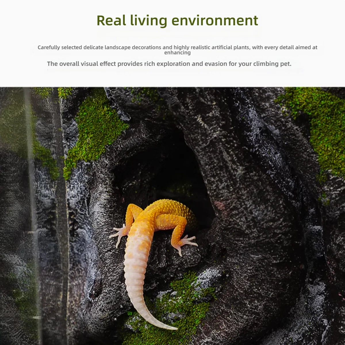 Reptile Terrarium All-in-one Landscape Tank Rainforest Reptile Tank Glass Eco Aquarium Box For Geckos Lizards Turtles Scorpions